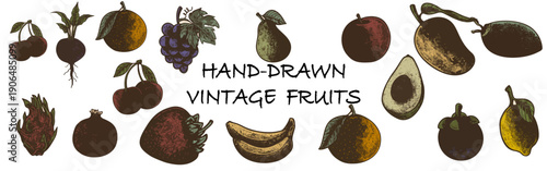 Hand drawn vintage fruit collection with engraving style. Vector illustrations of apple, grape, avocado, banana, and tropical fruits for organic food labels.