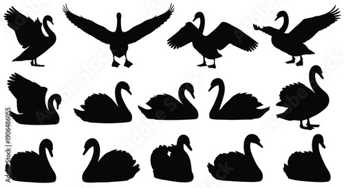 Collection of swan silhouettes in various poses black and white