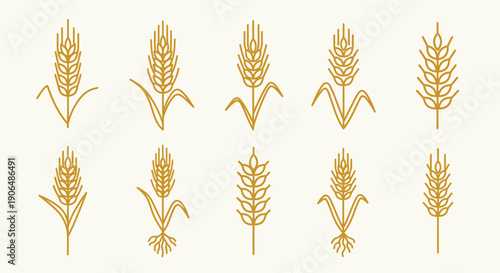 Collection of Wheat Ear Line Icons grain cereal