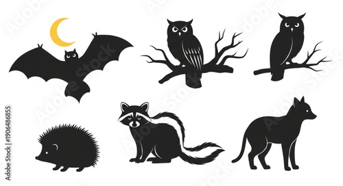 Collection of Nocturnal Animal Silhouettes on White Background.