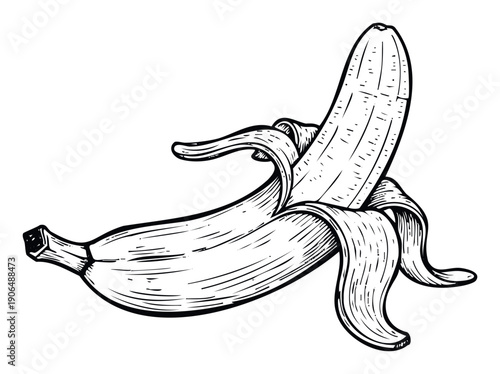Black and white hand drawn peeled banana ready for eating, a healthy and organic tropical fruit snack perfect for food blogs, recipe books, or restaurant menus.