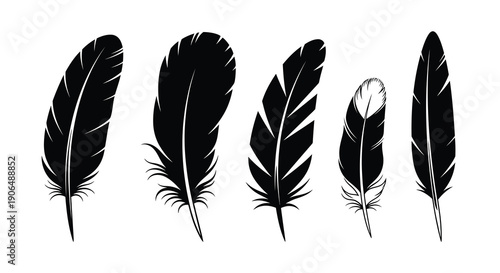 Five Black Feather Silhouettes on White Background