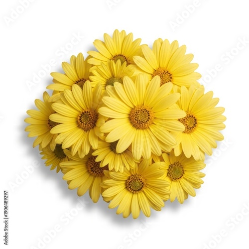 Golden Bloom: A vibrant cluster of radiant yellow flowers, their petals fully unfurled, showcasing a burst of sunny beauty, perfect for evoking feelings of happiness and natural elegance.