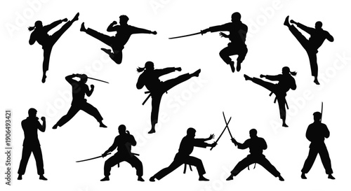 Silhouettes of martial artists performing various dynamic fighting poses