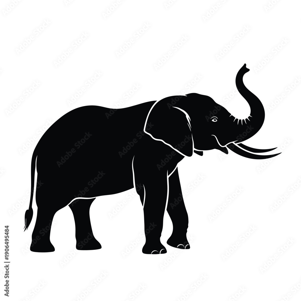Fototapeta premium Silhouette of an elephant with trunk raised animal