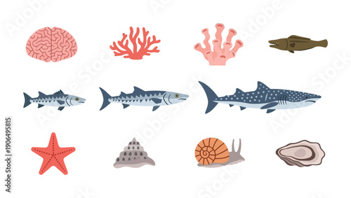 A vibrant collection of diverse sea creatures and a human brain offering educational resources for biology lessons and underwater ecosystem studies