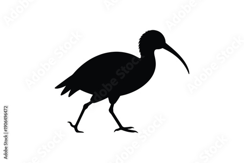 Ibis bird silhouette walking in profile with curved beak for wildlife and nature illustration designs today