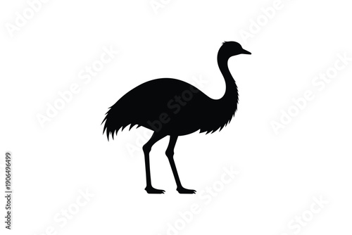 Ostrich silhouette standing in profile view showing flightless bird anatomy on simple plain white background