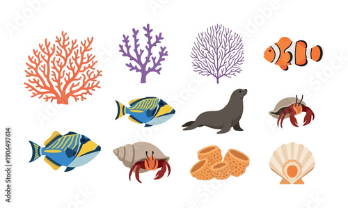 A rich collection of marine animals and ocean plant life, including colorful tropical fish, a seal, hermit crabs, various coral, sponges, and a scallop shell, useful for educational content