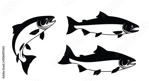 Three salmon fish silhouettes in different positions