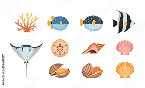 Colorful marine life collection featuring coral, various fish species, a majestic manta ray, and diverse seashells, perfect for educational content and oceanic themed projects