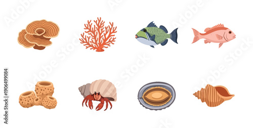 A diverse collection of marine life and sea elements featuring corals, colorful fish, a sea sponge, a hermit crab, an abalone, and a spiral seashell, suitable for educational materials and