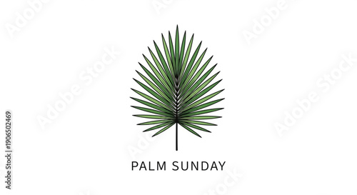 Palm sunday leaf illustration with green palm frond on white background for easter or religious themes