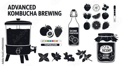 Kombucha Brewing Equipment and Ingredients Icons Vector