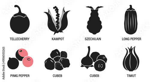 Pepper Varieties and Spices Illustration Set