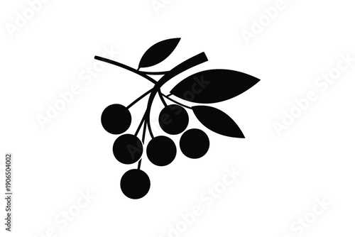 Bunch of berries on a branch with leaves, natural and fresh fruit, organic harvest from nature