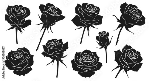 Elegant black silhouettes of roses arranged in a botanical composition