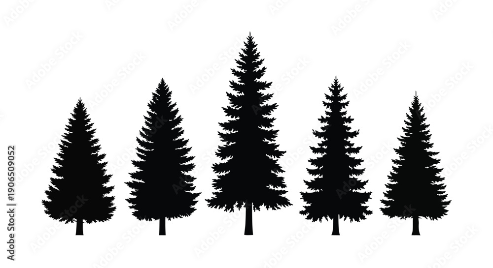 Obraz premium A group of evergreen trees depicted in dark silhouette