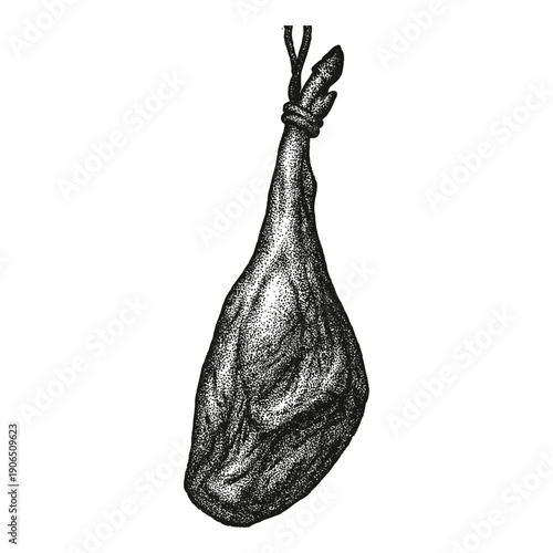 Vintage hanging meat leg illustration butcher shop food ingredient rustic cooking meat ham vintage engraving style kitchen culinary ingredient butcher market illustration.