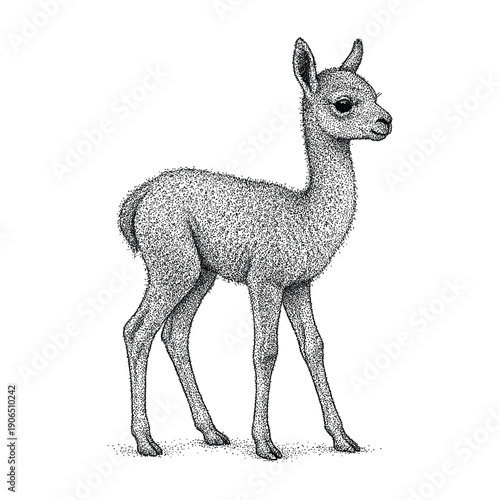 Young Deer Fawn Vintage Wildlife Engraving Illustration