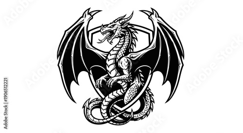 Black and White Dragon Illustration Design.