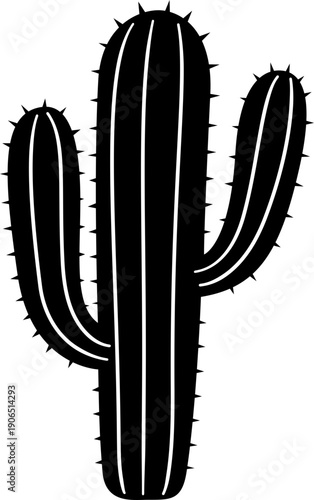 cactus vector illustration