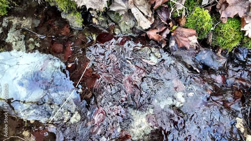 A top-down perspective shows water trickling over a dense layer of dark, wet leaves and moss. The textures of the damp forest floor are highlighted by the movement of the shallow stream.