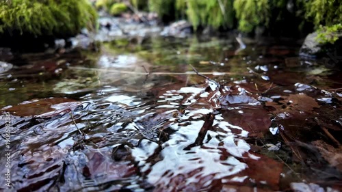 A low-angle shot shows water rippling over dark autumn leaves. Vibrant green mossy banks frame the clear, shallow stream, creating a calm and immersive woodland atmosphere.
