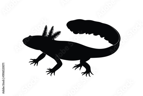 Axolotl silhouette in black and white, aquatic salamander with external gills and a tail fin