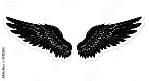 A pair of black wings with detailed feather textures isolated on white