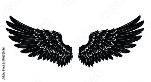 Detailed illustration of a pair of black outstretched wings