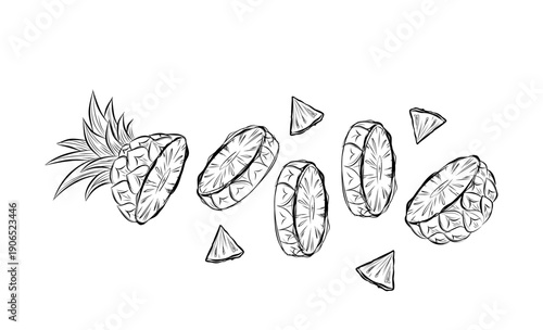Sketch of pineapple. hand drawn fruit cut in half or tropical sliced product. Vegetarian and vitamin food, sweet desert vector drawing.