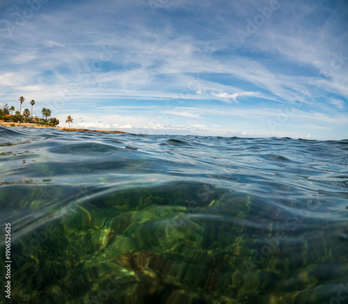 Underwater view of  colorful botany, fishes and rocks in Las Rotas coast marine reserve in Denia Alicante province Spain snorkeling in summer.