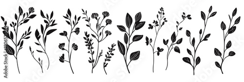 Black silhouette vector set of delicate botanical branches with leaves and small buds in minimalist flat style on white background for decorative design elements and nature themes collection