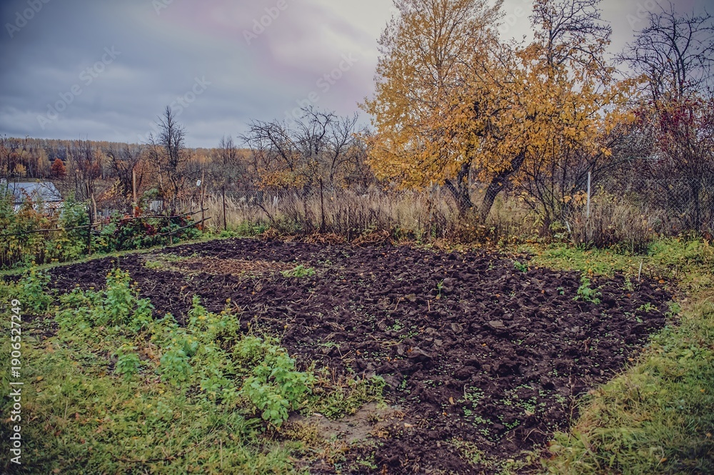 Fototapeta premium Old Garden in a Village in Late Autumn