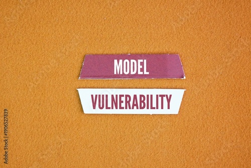 Slika na platnu Paper with the word Vulnerability Model