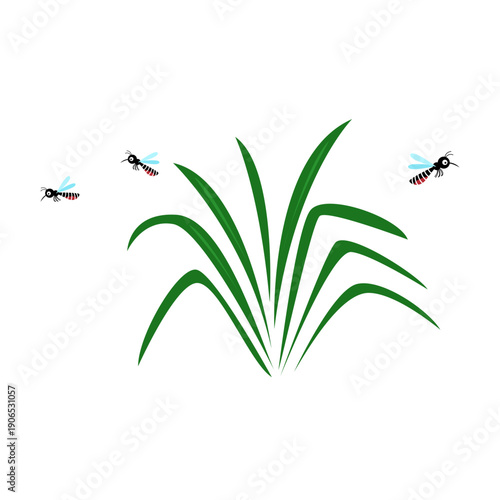 mosquito dengue concept isolated on white background.