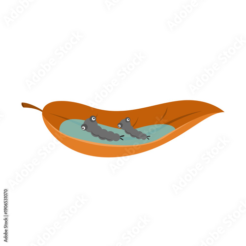 mosquito dengue concept isolated on white background.