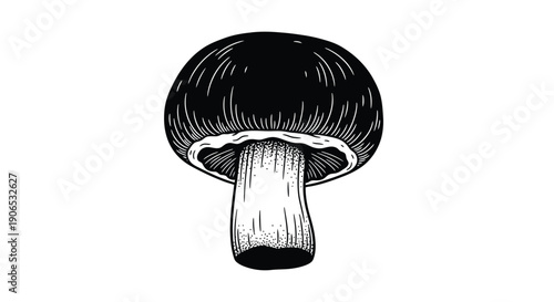 A detailed black and white illustration of a single mushroom