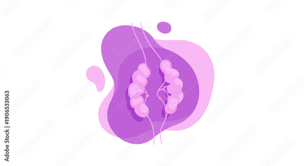 Fototapeta premium Abstract Purple Shapes with White Lines and Blobs Design Element.