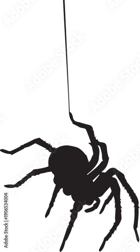 Scary tarantula spider vector silhouette illustration line art hanging on single web thread spooky season graphic
