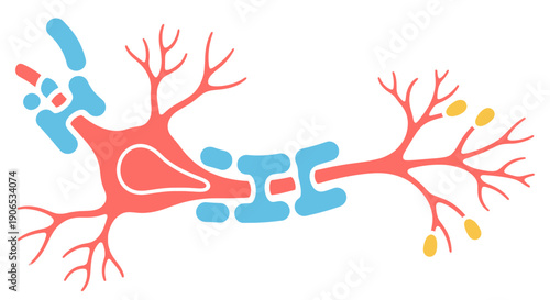 Illustration of a neuron with dendrites and axon terminals.