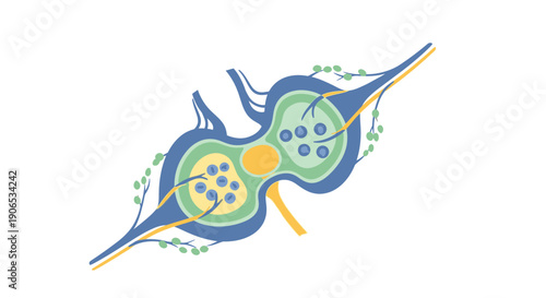 Illustration of a Neuron with Cell Body and Axons.