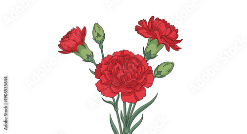 Beautiful botanical illustration of a vibrant red carnation flower with green leaves and buds isolated on a clean white background.
