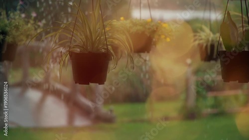 slow motion of heavy tropical rain drops on green plants pots