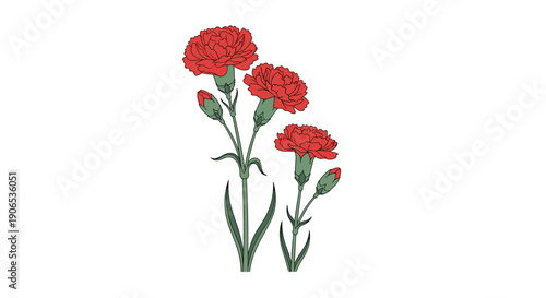 A beautiful botanical illustration of three red carnation flower stems with green leaves and buds isolated on a white background.
