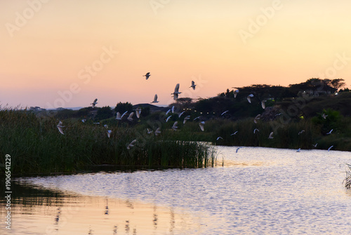 Wallpaper Mural Sunset on Lake Basaka, Ethiopia Torontodigital.ca