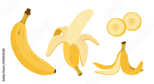 A vibrant vector illustration set showcasing the banana in four distinct forms: whole and ripe, partially peeled, sliced into rounds, and a discarded skin
