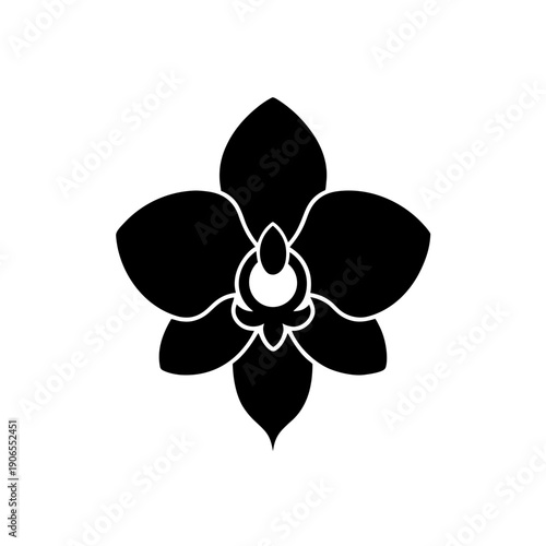 Elegant black and white orchid flower with intricate petal designs centered on white background