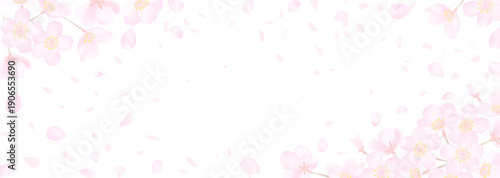 白地に繊細な桜の花のベクターイラスト